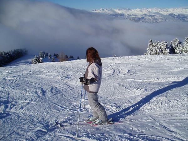 La Truelle *